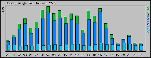 Hourly usage